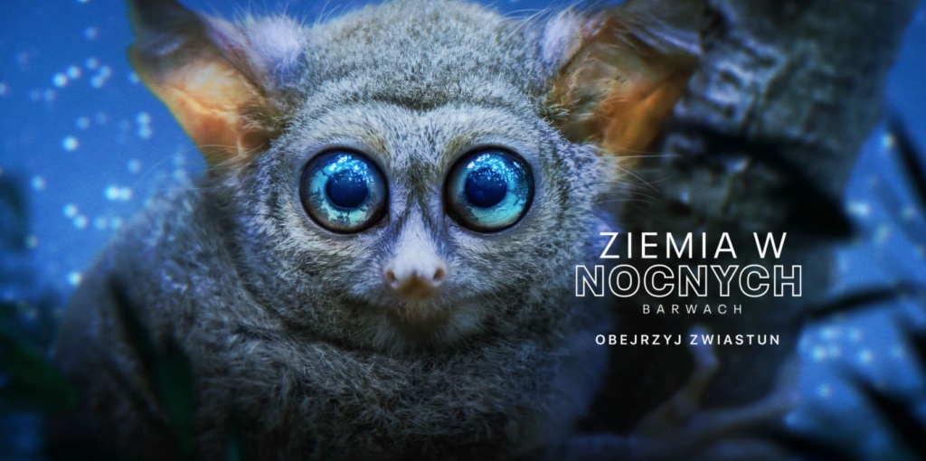Apple prezentuje zwiastun nadchodzącego serialu dokumentalnego „Ziemia w nocnych barwach”