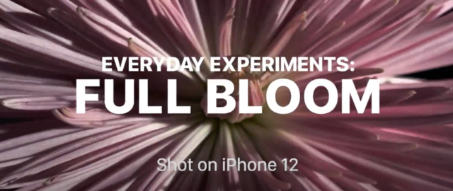 Apple udostępnia kolejny film z serii Shot on iPhone „Full Bloom”