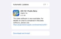 iOS 16.1 beta 1