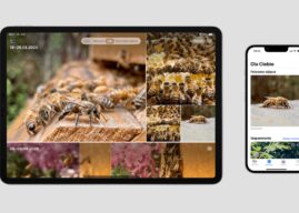 Apple zapowiada wyłączenie usługi „Mój strumień zdjęć”