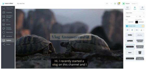 wave-video-caption-customize-1024x486