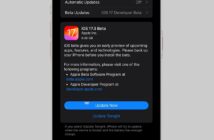 iOS 17.3 beta 1