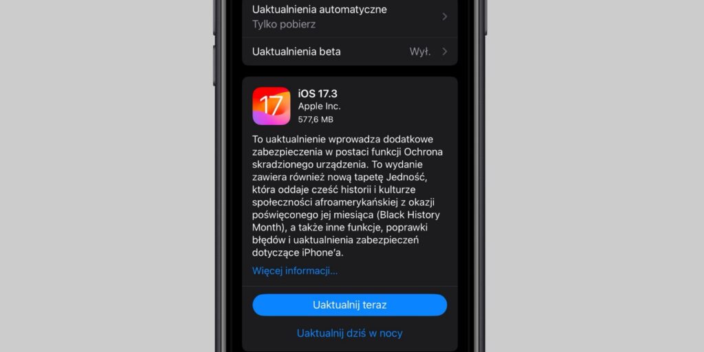 iOS 17.3