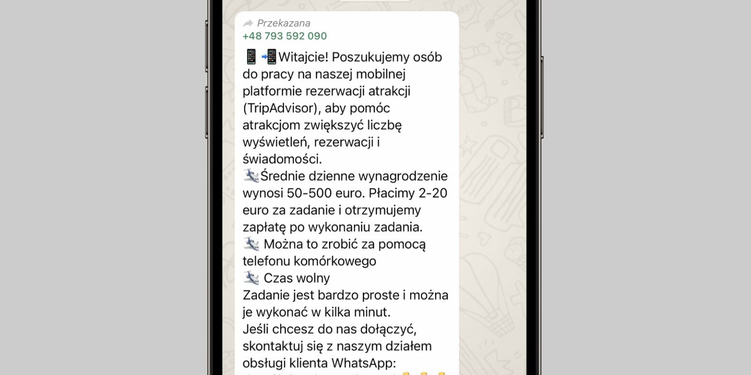 whatsApp-oferty-pracy