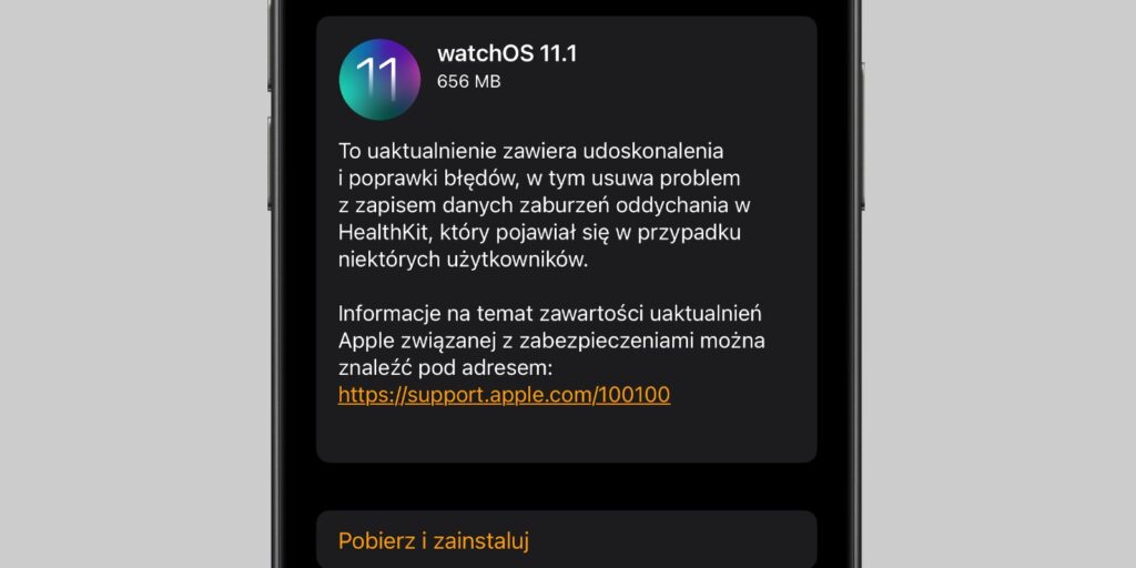 watchOS 11.1