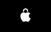 Apple-security-lock-logo_inline.jpg.large_2x