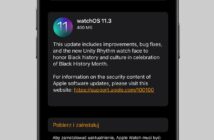 watchOS 11.3